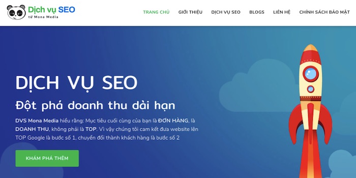 DVS dịch vụ seo website