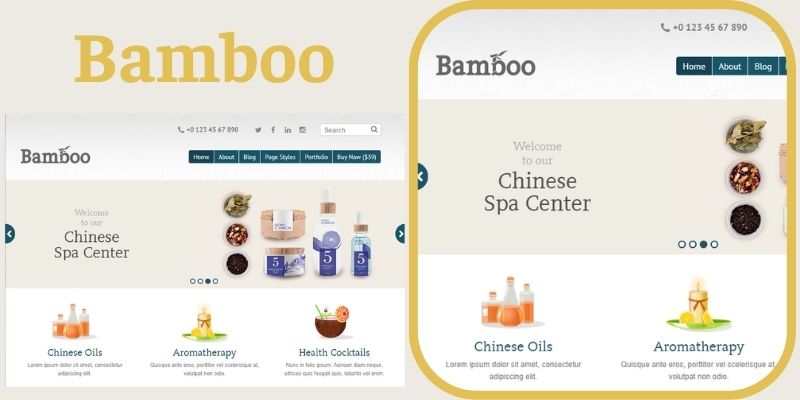 Bamboo sẽ là mẫu website phù hợp với nhà hàng Á