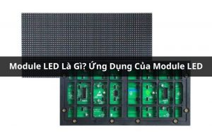 Module LED là gì